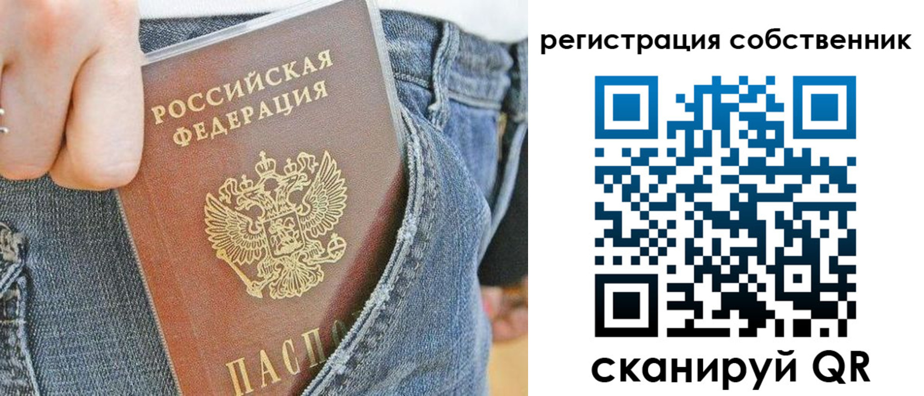 временная регистрация гарантия в Светлогорске